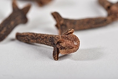 Getrocknete Knospen des Gewürznelkenbaums (Syzygium aromaticum), Foto: Alois Unterkircher